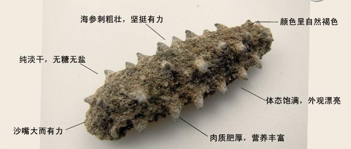 淡干海参加工方法