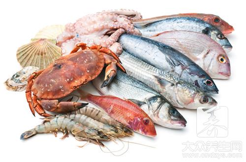  海参的食用方法和作用