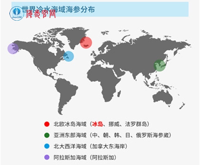 国外野生海参怎么选？冰岛海参、加拿大红极参物美价廉！