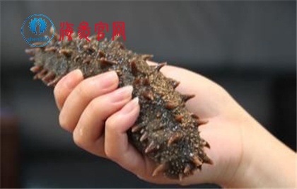 5招就能简单看出野生海参与人工养殖海参的方法！