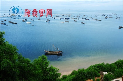 5招就能简单看出野生海参与人工养殖海参的方法！