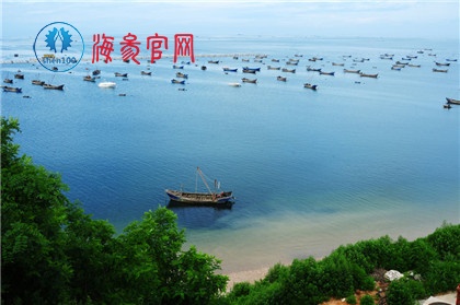 大连海参好，还是长岛海参好？