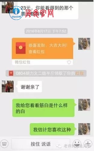 男吃养肾，女吃养颜，海参体内竟藏惊天大秘密