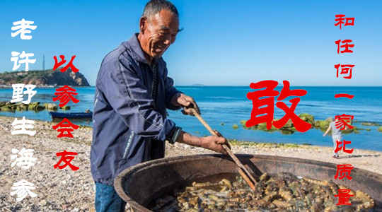 老许野生海参微信 老许野生海参微信