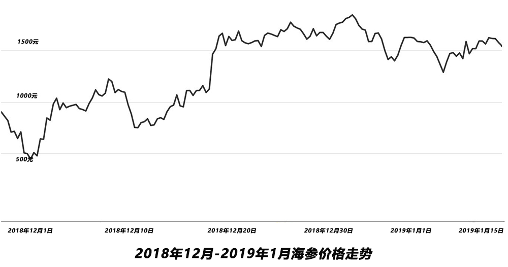 海参最新价格走势图