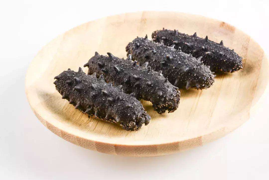 海参的药用价值更胜人参